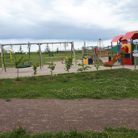Gite Terre D'Helene 4 A 5 Pers Proche Strasbourg 42 M2, 3 Etoiles, Wifi, Paisible, Jardin, Proche Commerces,16 Atouts, Animaux Acceptes Berstett Экстерьер фото