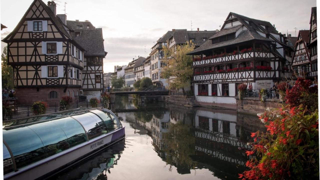 Gite Terre D'Helene 4 A 5 Pers Proche Strasbourg 42 M2, 3 Etoiles, Wifi, Paisible, Jardin, Proche Commerces,16 Atouts, Animaux Acceptes Berstett Экстерьер фото