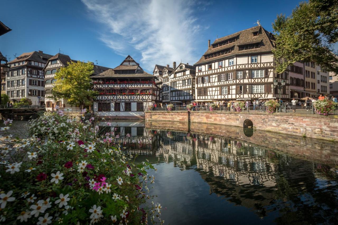 Gite Terre D'Helene 4 A 5 Pers Proche Strasbourg 42 M2, 3 Etoiles, Wifi, Paisible, Jardin, Proche Commerces,16 Atouts, Animaux Acceptes Berstett Экстерьер фото